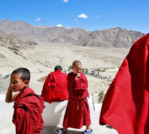 Meet the Lamas in Himalayas