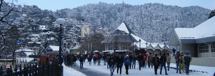 Shimla